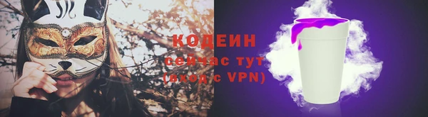 шишки Богородск