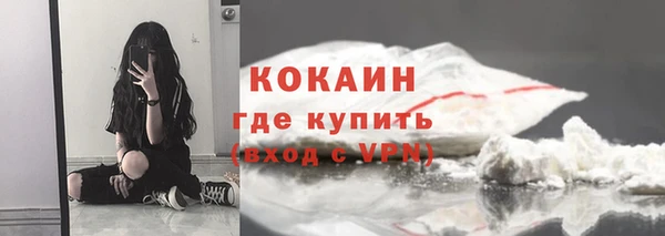 шишки Богородск