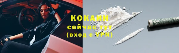 шишки Богородск