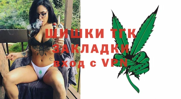 шишки Богородск