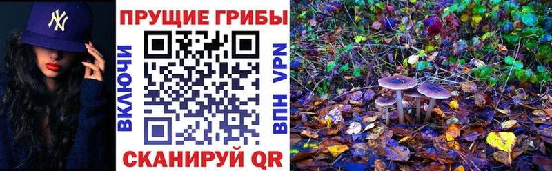 Галлюциногенные грибы GOLDEN TEACHER  МЕГА ТОР  Светлый 